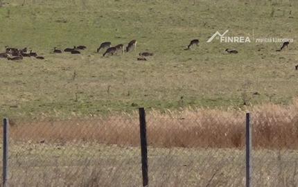 FINREA │ Výnimočný pozemok 106 000 m² v obci Abrámová