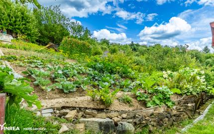 FINREA│Záhradka pre aktívnych pestovateľov ZO Lieskovec