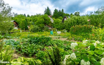 FINREA│Záhradka pre aktívnych pestovateľov ZO Lieskovec