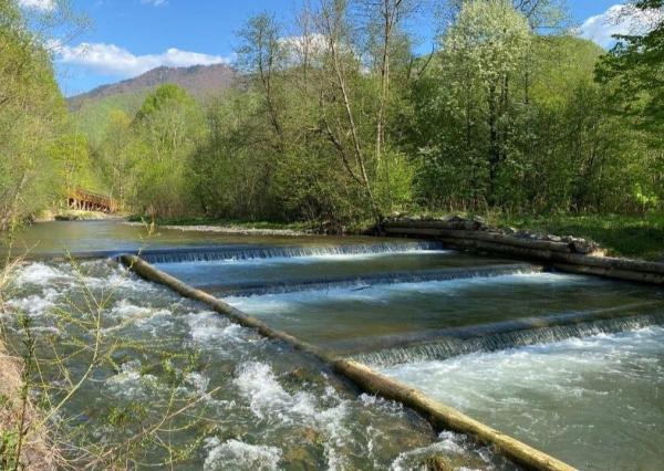 FINREA│Na predaj pozemok 1336 m² s chatou (43 m²) v krásnom prostredí obce Belá pri Žiline