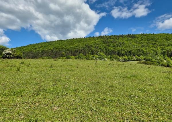 FINREA│Slnečný investičný pozemok (1009 m²) s výhľadom – Konské pri Martine