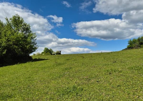 FINREA│Slnečný investičný pozemok (1009 m²) s výhľadom – Konské pri Martine