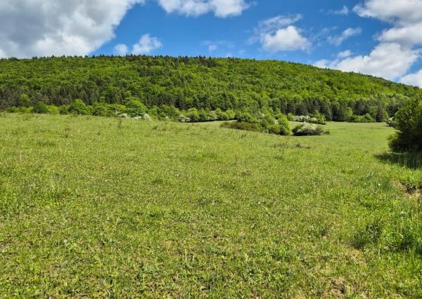 FINREA│Slnečný investičný pozemok (1009 m²) s výhľadom – Konské pri Martine