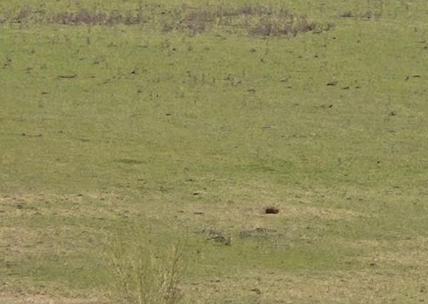 FINREA │ Výnimočný pozemok 106 000 m² v obci Abrámová