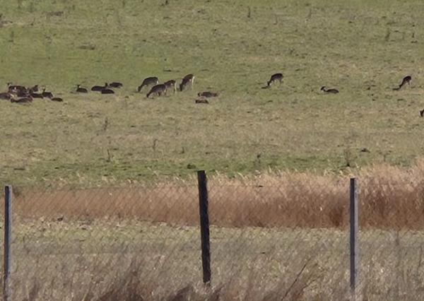 FINREA │ Výnimočný pozemok 106 000 m² v obci Abrámová