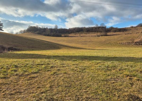 FINREA│ Slnečný pozemok pri obci Sklabiňa, 6769m2