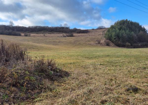 FINREA│ Slnečný pozemok pri obci Sklabiňa, 6769m2