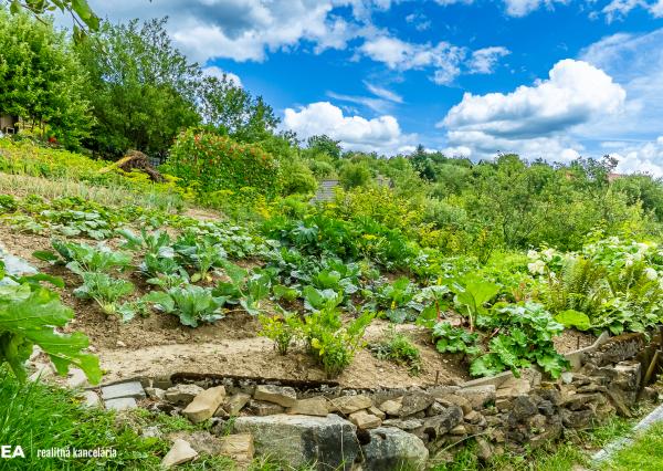 FINREA│Záhradka pre aktívnych pestovateľov ZO Lieskovec