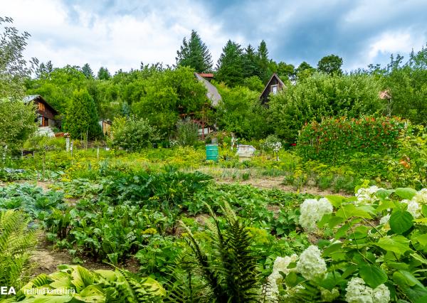 FINREA│Záhradka pre aktívnych pestovateľov ZO Lieskovec