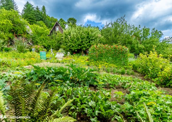 FINREA│Záhradka pre aktívnych pestovateľov ZO Lieskovec