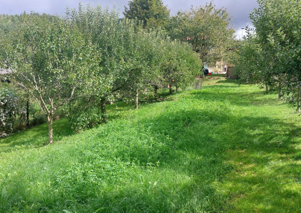 FINREA│Priestranný rodinný dom po čiastočnej rekonštrukcii - Hrboltová