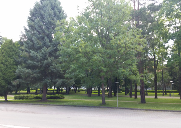 FINREA│2-izbový byt v centre mesta Martin